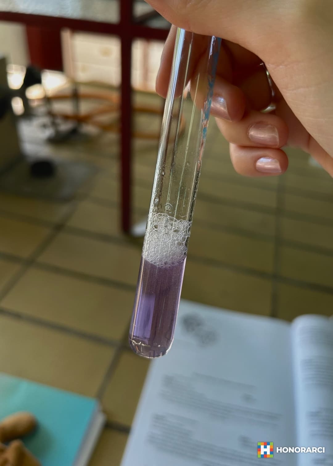 Privatni časovi iz hemije i biologije - slika 2