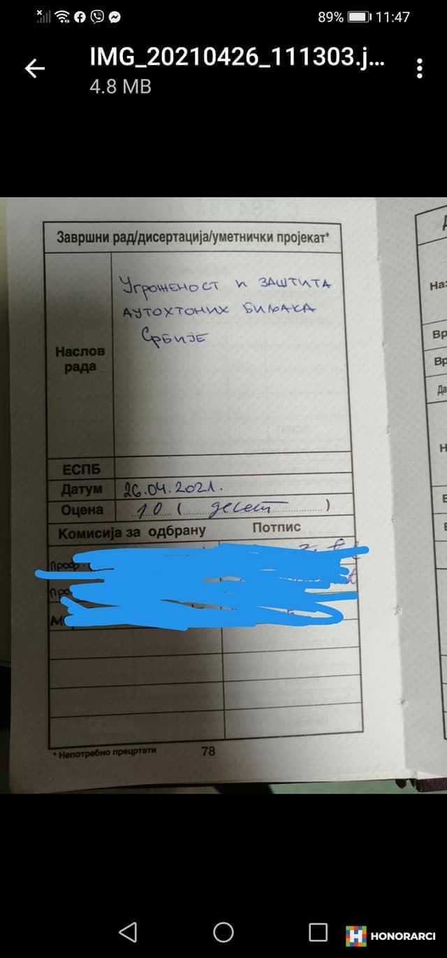 Maturski, seminarski, diplomski i master radovi - slika 1