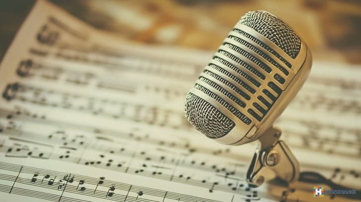 Tekstopisac za narodnu i folk muziku – Hitovi sa emocijom i dertom