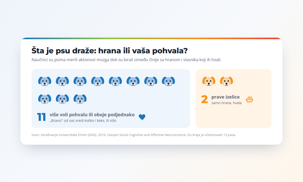 Od 13 pasa u istraživanju Univerziteta Emori, 11 je više volelo pohvalu vlasnika ili pohvalu i hranu podjednako, a 2 su bila prave izelice
