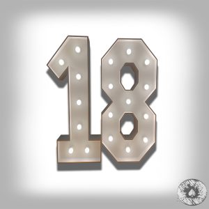 SVETLECI BROJ ZA VAS 18-TI RODJENDAN