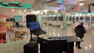 Profesionalni DJ
