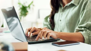 Unos podataka, proizvoda (Data Entry) i pisanje tekstova